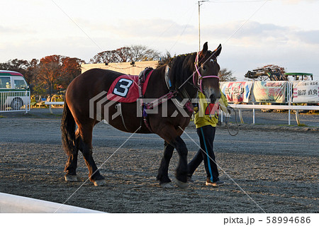ばんえい競馬 ばんえい競馬 58994686