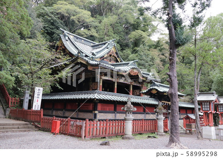 静岡浅間神社(八千戈神社) 静岡浅間神社(八千戈神社) 58995298