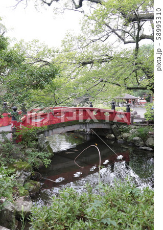 静岡浅間神社（神池） 58995310