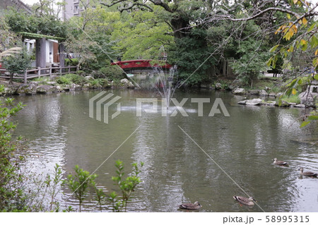 静岡浅間神社（神池） 58995315