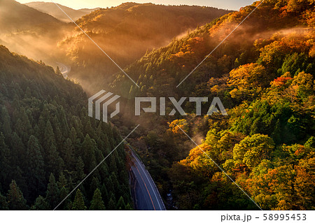 島根県 おろちループと紅葉 島根県 おろちループと紅葉 58995453