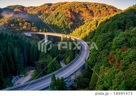 島根県　おろちループと紅葉 58995473