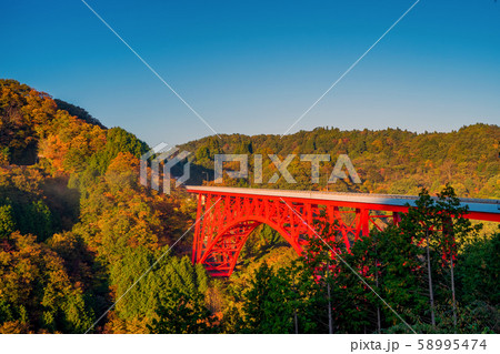 島根県 おろちループと紅葉 島根県 おろちループと紅葉 58995474