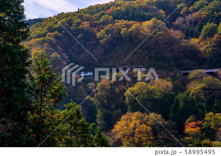 島根県 おろちループと紅葉 島根県 おろちループと紅葉 58995495