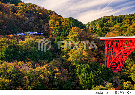 島根県　おろちループと紅葉 58995537