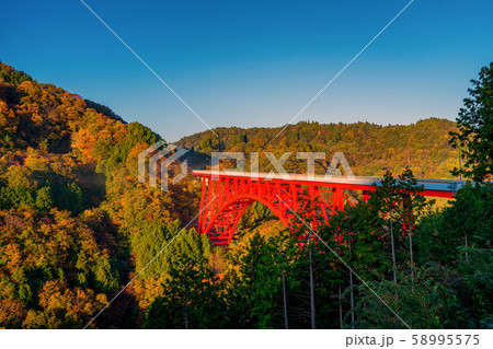 島根県　おろちループと紅葉　 58995575