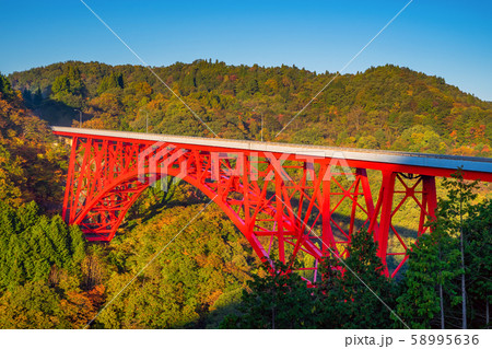 島根県　おろちループと紅葉　 58995636