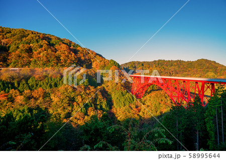 島根県 おろちループと紅葉 島根県 おろちループと紅葉 58995644