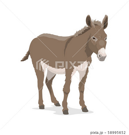Donkey Mule Or Ass Farm Animal Beast Of Burdenのイラスト素材