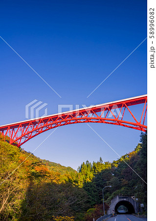 島根県　おろちループと紅葉 58996082