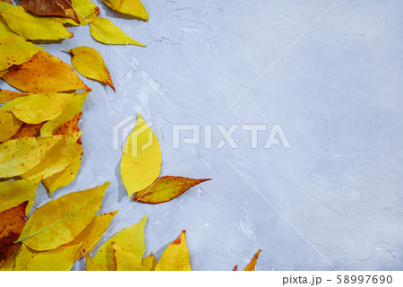 Frame of bright colorful fallen autumn leaves. Frame of bright colorful fallen autumn leaves. 58997690