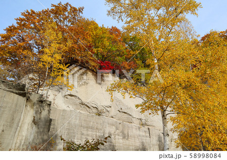 紅葉の石山緑地 58998084