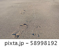 足跡 58998192