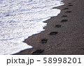 波際 58998201