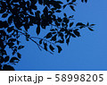 シルエット 58998205
