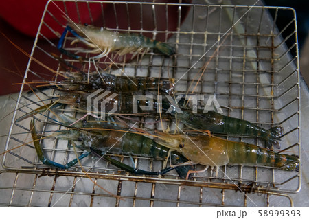 トル おいしいエビのグリル、 (エビ養殖場、エビのグリル、塩焼き) トル おいしいエビのグリル、 (エビ養殖場、エビのグリル、塩焼き) 58999393