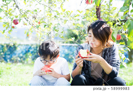 リンゴ狩りをする家族 58999983