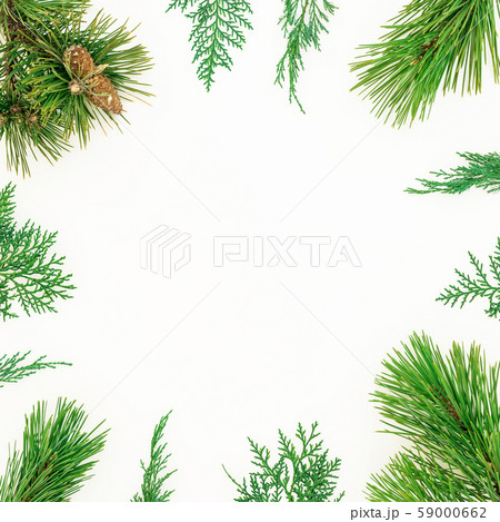 Christmas winter frame of evergreen tree branches on white background. New Year background. Flat lay Christmas winter frame of evergreen tree branches on white background. New Year background. Flat lay 59000662