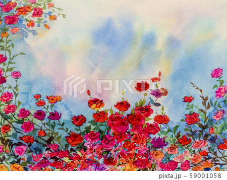 Watercolor painting imagination colorful of roses. 59001058