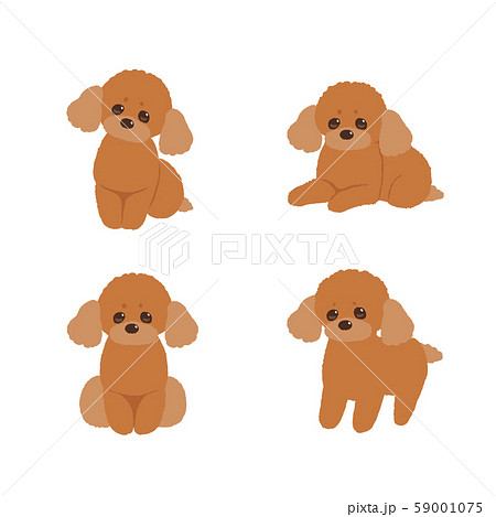 プードル 59001075