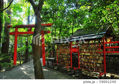 京都の町並み 嵐山 嵯峨野の観光スポット 野宮神社境内の写真素材