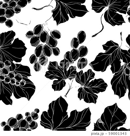 Vector Grape berry healthy food. Black and white engraved ink art. Seamless background pattern. 59001343