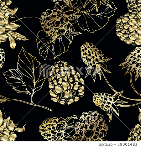 Vector Blackberry healthy food. Black and white engraved ink art. Seamless background pattern. Vector Blackberry healthy food. Black and white engraved ink art. Seamless background pattern. 59001483