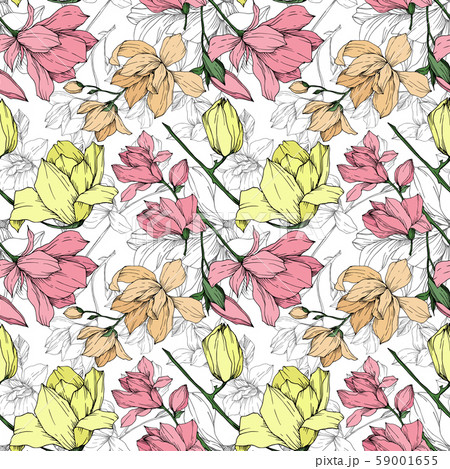 Vector Magnolia floral botanical flowers. Black and white engraved ink art. Seamless background Vector Magnolia floral botanical flowers. Black and white engraved ink art. Seamless background 59001655