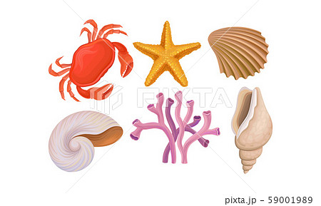 Underwater Ocean Bottom Species Vector Set. Different Marine Food Underwater Ocean Bottom Species Vector Set. Different Marine Food 59001989