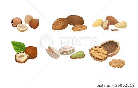 Different Nuts Set Isolated On White Background 59002018