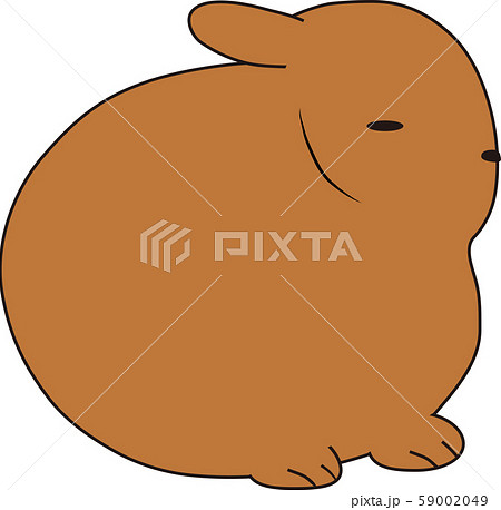 ウサギ 59002049