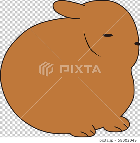 ウサギ 59002049