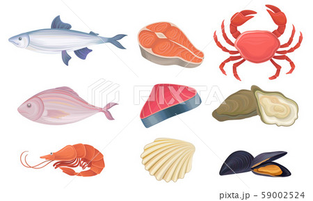 Seafood Vector Set. Crustacean Delicacy Market Concept Seafood Vector Set. Crustacean Delicacy Market Concept 59002524