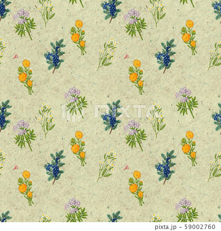 Hand drawn medicinal plant seamless pattern. Healing herbs drawing on craft paper. 59002760
