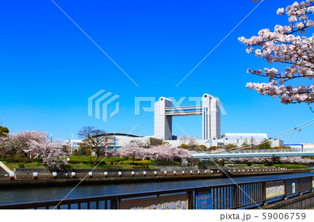名古屋市 センチュリーホールと満開の桜 名古屋市 センチュリーホールと満開の桜 59006759