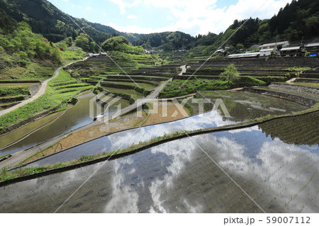 広島県 井仁の棚田 初夏 59007112