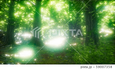 8K Morning in the Misty Spring Forest with Sun 59007358