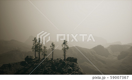 8K Fog hides the high forest in the mountains 8K Fog hides the high forest in the mountains 59007367