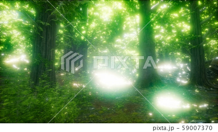 8K Morning in the Misty Spring Forest with Sun 59007370