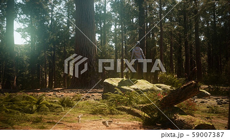 Woman in Yosimite national park near sequoia 59007387