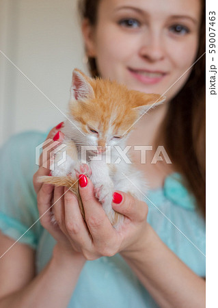 Close up of cute kitty in woman's hands. Close up of cute kitty in woman's hands. 59007463
