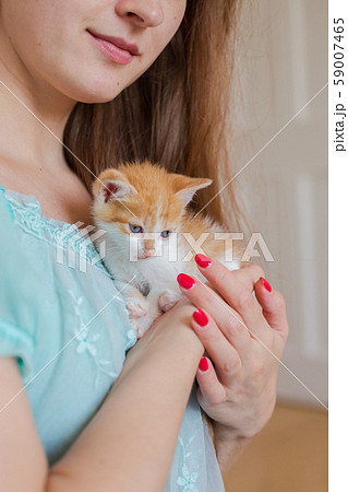 Close up of cute kitty in woman's hands. Close up of cute kitty in woman's hands. 59007465