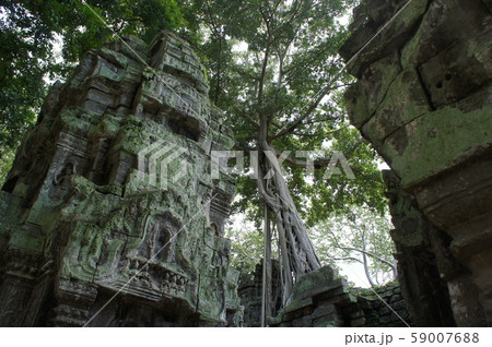 タプローム 59007688