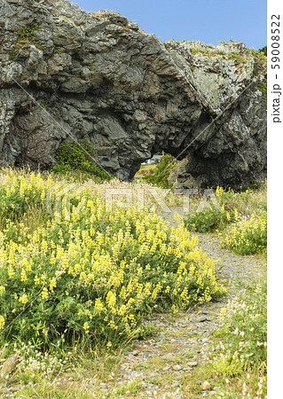 ニュージーランド　ウェリントン　モア・ポイント 59008522