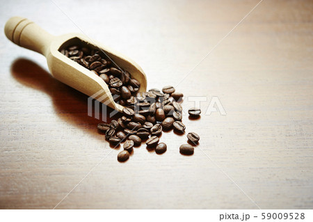 コーヒー豆 コーヒー豆 59009528