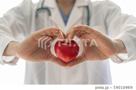 Cardiovascular disease doctor or cardiologist holding red heart in clinic or hospital exam room office for csr professional medical service, cardiology health care and world heart health day concept 59010969