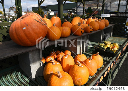 えこりん村 59012468