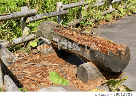 朽ちたオコタンペ湖の標示 59012708