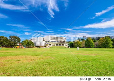 埼玉　和光樹林公園の風景 59012740