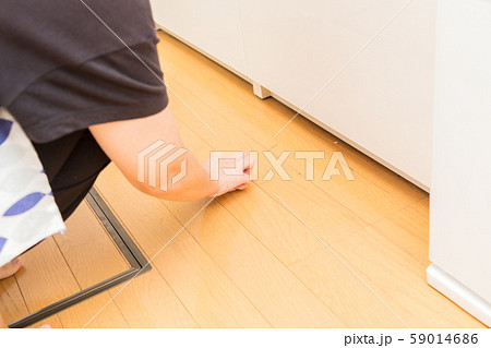 床を磨く女性 59014686
